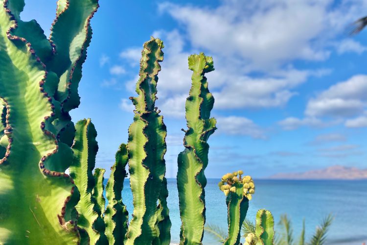 Lanzarote Holidays