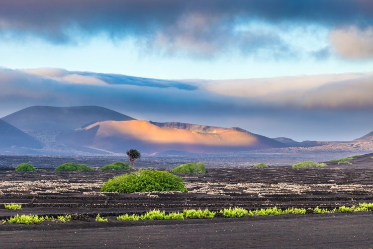 Top <span>Things to Do</span> in the Canary Islands
