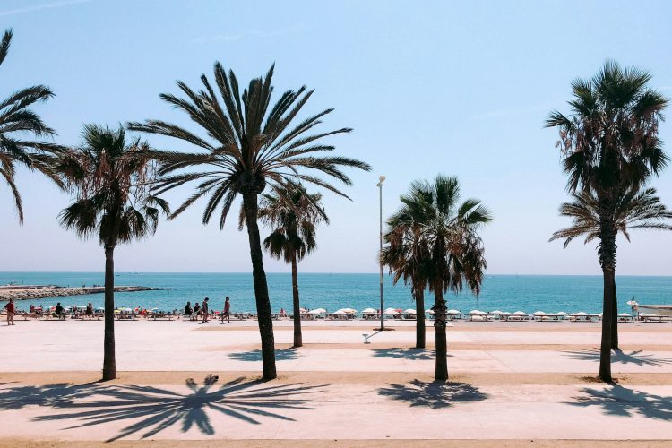 Beach Life, City Style