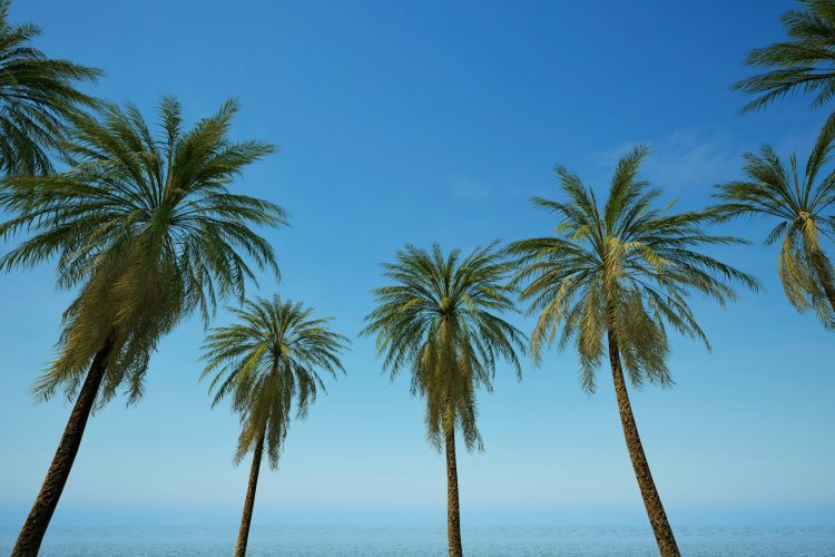 Caleta De Fuste