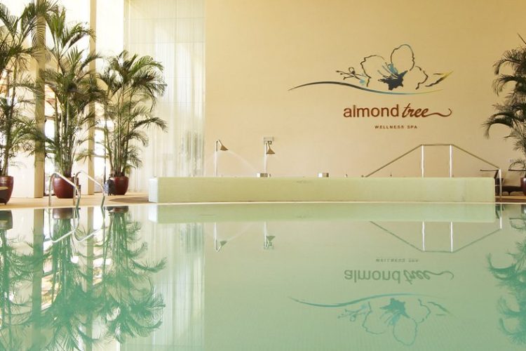 Almond Tree <span>Wellness Spa</span>