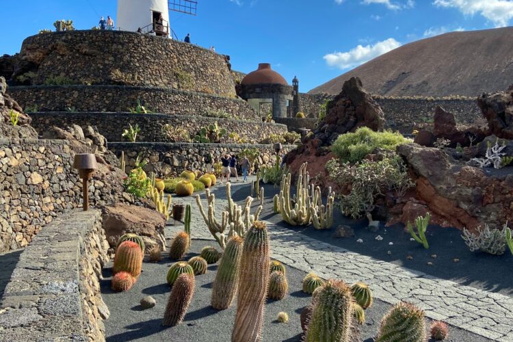 Canary Islands Holidays